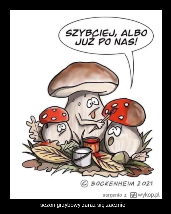 sezon grzybowy zaraz się zacznie