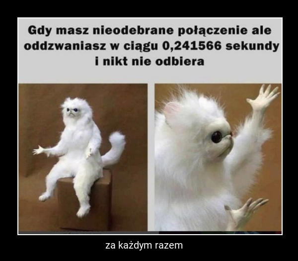 za każdym razem