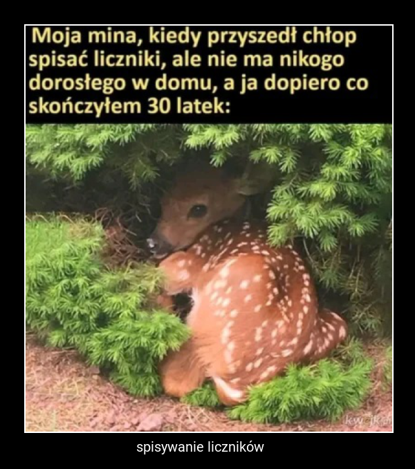 spisywanie liczników