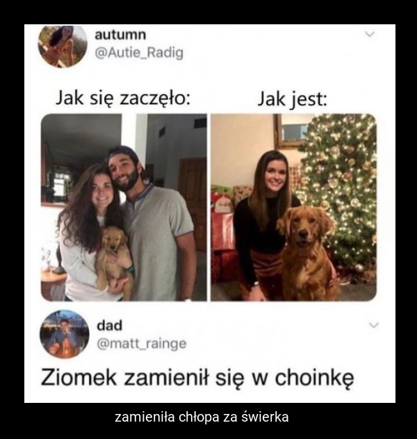 zamieniła chłopa za świerka