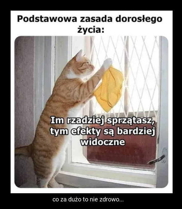 co za dużo to nie zdrowo...